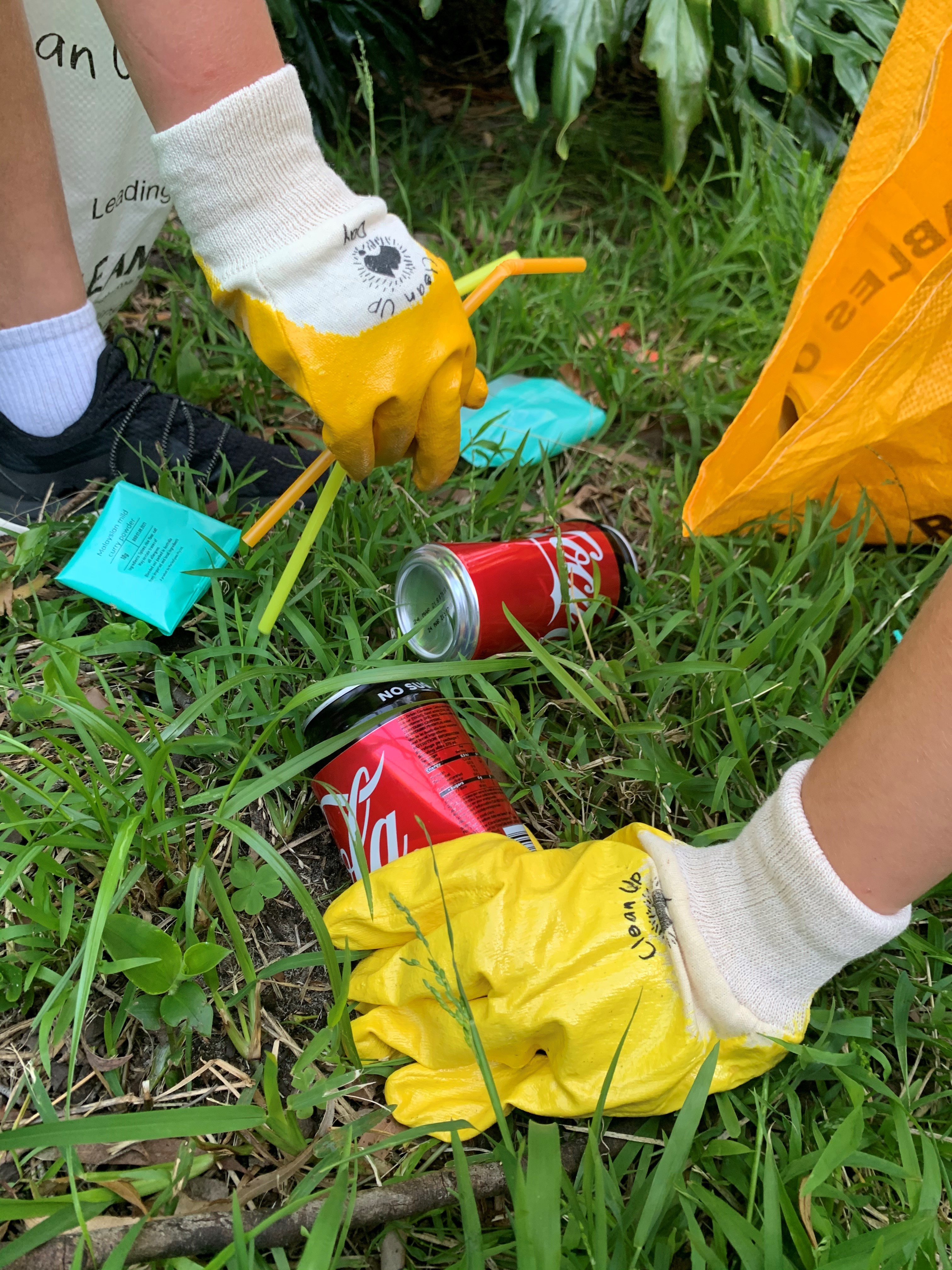 Clean Up Australia image (4)